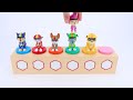 Paw Patrol Collection Unboxing Review ASMR | Cat Pack| Mystery Rocky Box, Rubble Mighty Pups Box