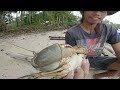 CATCHING GIANT CRAB/walang halong takot na dinukot sa butas Ang napaka laking alimango