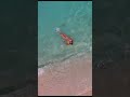 Chilling Park Hyatt Maldives Beach Drone