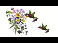 Cut Out Animation animated in After Effects. Hummingbirds in the Dancing Garden Animation.