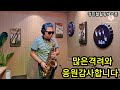 #사랑했는데 #이미자 #정민철색소폰 #saxophone #트로트