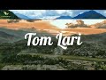TOM LARI - Top 10 Hits