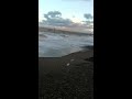 2015 11 22 15 25 16   Walk on the beach