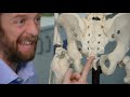 How to identify a vertebra (anatomy)