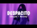 Despacito Slowed Reverb | Luis Fonsi Despacito Slowed and Reverb | Despacito Lofi | Luis Fonsi Song