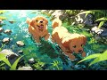 【Relaxing Ghibli】Piano Studio Ghibli Collection 🌹 少なくとも1 回 は 聞くべ き🍀 となりのトトロ、崖の上のポニョ