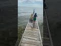 Catching baby shark