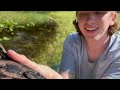 Trapping MONSTER Aquarium Fish in ABANDONED MUD POND!