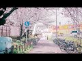 « Vietsub » Flower Road ♪Sejeong ♡ Happy Mother's Day