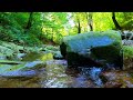 Relaxing Nature Sounds for Deep Sleep, Soothing Waterfall Sounds