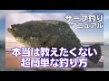 ヒラメを釣りたい方へ！サーフで超簡単に釣る方法と３つのポイント！