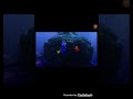 Dory speaking whale Polish