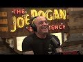 Joe Rogan Experience #2173 - Jimmy Dore
