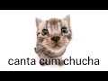 Chucha - Noodle (0ficial audio)