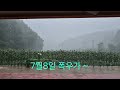 24.7.8. 폭우가 내리네요.