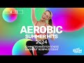 Aerobic Summer Hits 2024 (140 bpm/32 count)