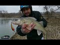 Best bait for walleye