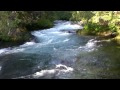 Very Relaxing 3 Hour Video of a Mountain Stream