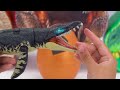 Unboxing Review Jurassic World | Trex Robot Mystery Box, Indoraptor, Neovenator, Elasmosaurus | ASMR