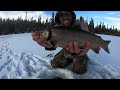 EPIC Day Ice Fishing for 3 Pound BROOK TROUT!! (CATCH & COOK!!)