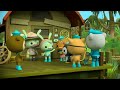 ​@Octonauts - National Wildlife Week One Hour Special! 🦎🐊 | Underwater Sea Education