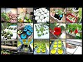 Kratky Hydroponics, Part One of the Continuous Harvest System