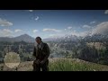 RED DEAD REDEMPTION 2 : FIX BAD HAIR GRAPHICS - BLURRY TREE  & FIX PIXELATED PICTURE