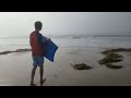 My Younger Brother Walking to the Waves