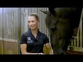 Stable Tour at VAN OLST HORSES