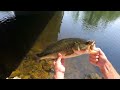 Huge Largemouth Bass Fishing caught under Bridge