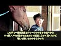 【競馬の反応集】「競馬のデマ情報を検証していく」に対する視聴者の反応集