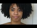 Mielle Pomegranate & Honey Curl Smoothie and Custard | Natural Hair Wash and Go