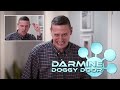 Darmine Doggy Door REVIEW 2023