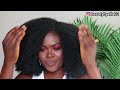 Undetectable / Invisible Crochet Fake Natural Hair! No Leave Out ft Youngther Hair