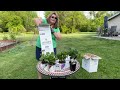 Garden Crossings Unboxing - SEE whats's in the Box!