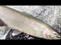 Winter Erie PA Steelhead Fishing on the Fly!!!