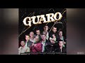 Guaro - Remix (Letra )🤠🍻2021