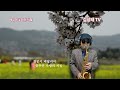 [애정이 꽃 피던 시절 / 나훈아] 김상태 Alto Saxophone cover ♥️