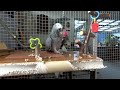 African grey parrot playing with her ball