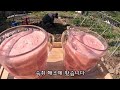 가마솥 한우국밥👍 / 꽃씨는 처음이라 / 치즈품은 김치전 (feat.동동주) / 낙삼불고기 어때요?