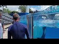 Killer Whales Up-Close Tour  - SeaWorld Orlando - June 1, 2023