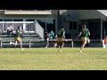 Keebra Park v St Brendans | QLD Schoolboy Final 2013