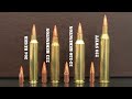 204 Ruger vs 223 Remington vs 22-250 Remington vs 220 Swift Review & Comparison