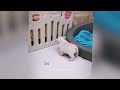 New Funny Animals😿🐶Best Funny Dogs and Cats Videos Of The Week😜