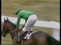 Shergar - 1981 King George