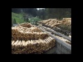 Rundholzplatz / Round wood yard