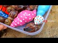 Bermain Menemukan Keong| Kerang Zebra| Siput Bekicot| Kerang Spyder| Snail Part. 70