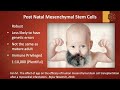 Bone Marrow vs Umbilical Cord Stem Cell Therapy - Head to Head Comparison