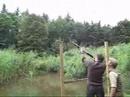 Clay Pigeon Shooting