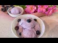 Blueberry Ice Cream Recipe | How To Make Fresh Blueberry Ice Cream At Home